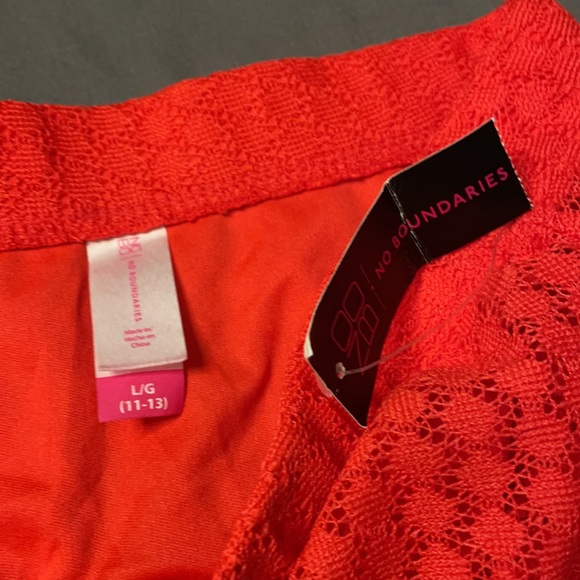 Lace Skater Skirt - Picture 4 of 5